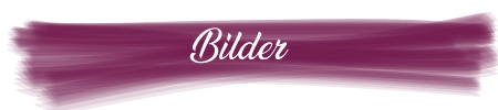 Bildergalerie